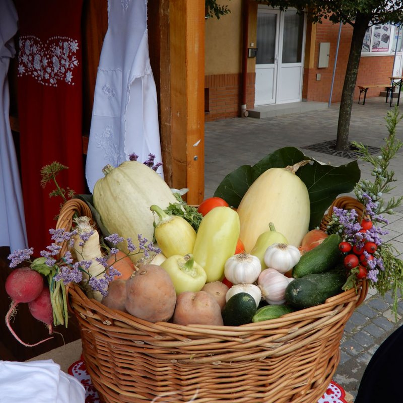 Helyi Értékek Startja 12